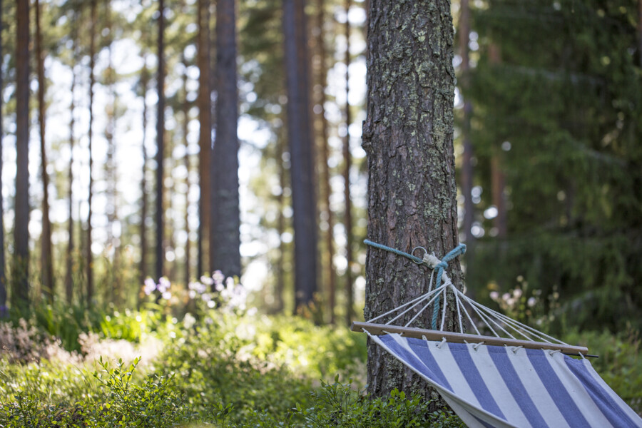 Sommartider med semester 2025